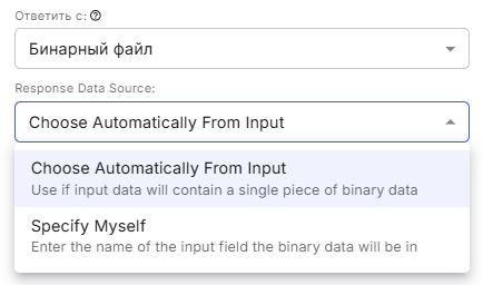 Режим Бинарный файл